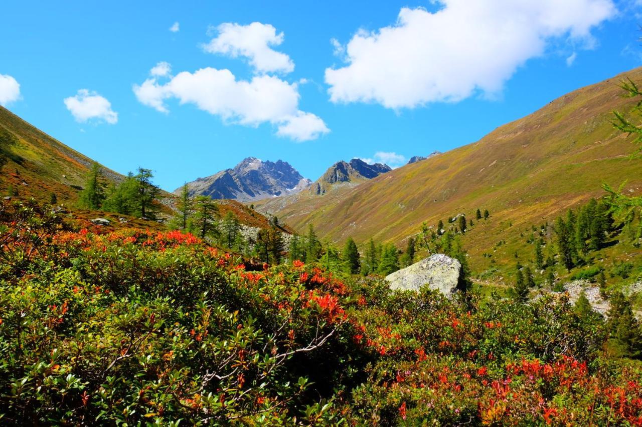 Apart Dorfbaeck Kaunertal Exteriér fotografie